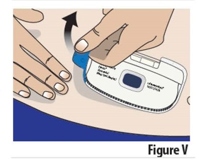 Figure V.jpg V - Figure V